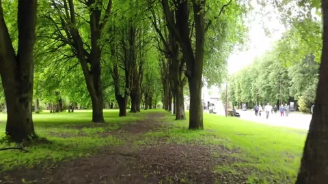 The camera flies between the trees over the alley in the city park Vídeos de archivo 163233576
