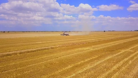 The camera flies to the harvester, working in the field against the blue sky. Stock Footage 119407205