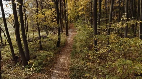 The camera flies high above the trail in the autumn forest. Stock Footage 140934671