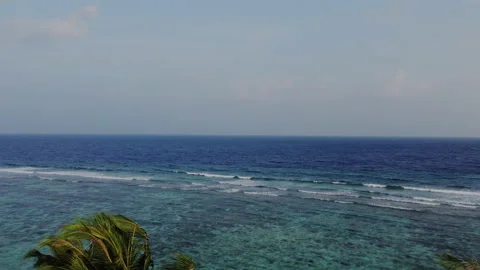 Camera Flies Over Above Green Palm Tree and Showing Beautiful Majestic Seascape Stock Footage 149114127