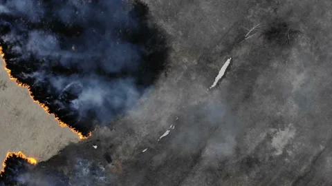 The camera flies over the burning field.Side span. Stock Footage 106355877