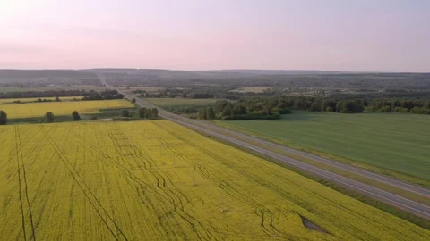 The camera flies over colza field and approach the road. 스톡 동영상 111243072