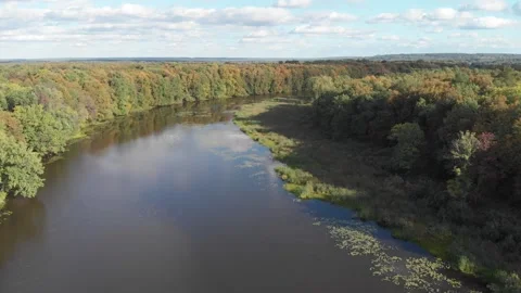 The camera flies over the coniferous forest towards the river Video stock 172528505