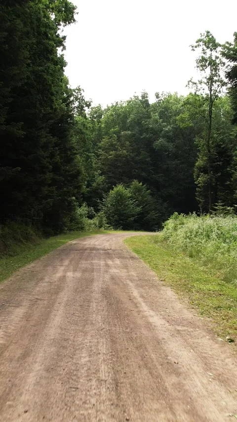 The camera flies over a dirt forest road, moving forward. 動画素材 346742561