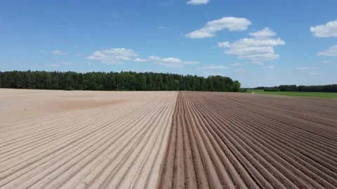 Camera flies over the field in the distance of Tractor Plowing Field 스톡 동영상 196926186