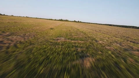 The camera flies over the field at high speed. Very dynamic landscape shots Stock Footage 244311980