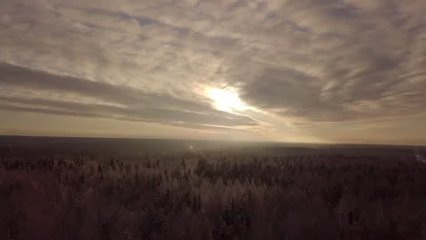 The camera flies over the forest on the background beautiful sunset Stock Footage 130309726