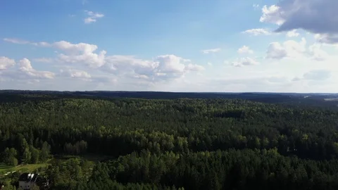 Camera flies over the forest Stock Footage 127777309