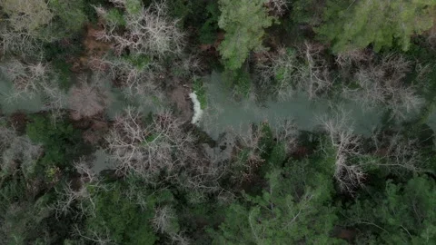 The camera flies over the forest river looking down in search of lost people Stock Footage 231509376