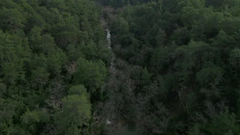 Camera flies over the forest, where a river flows through the gorge Stock Footage 231431704