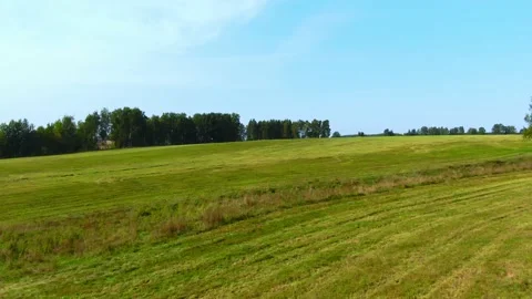 The camera flies over a green field Stock Footage 161768624