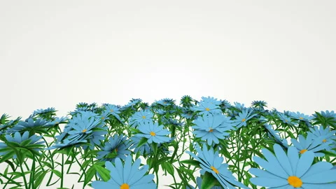 The camera flies over a group of blue flowers. Stock Footage 122459434