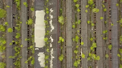 The camera flies over a huge territory of abandoned production Video stock 139601805