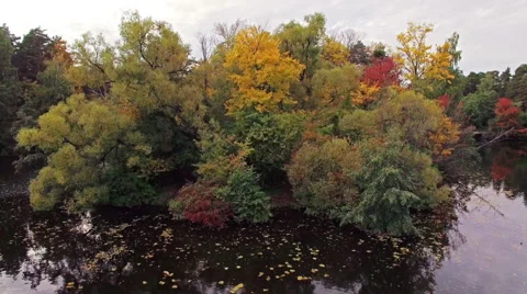 Camera flies over the island with trees on the lake in autumn Stock Footage 56587995