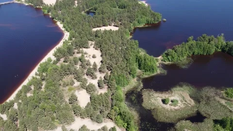 The camera flies over a large island covered with forest with sandy shores 스톡 동영상 197337505