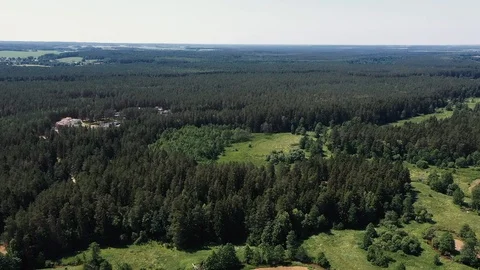 The camera flies over a picturesque forest Vídeos de archivo 116987938