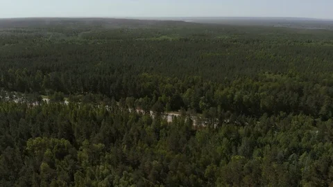 The camera flies over a pine forest in the direction of the road. Aerial view 4K Stock Footage 108129742