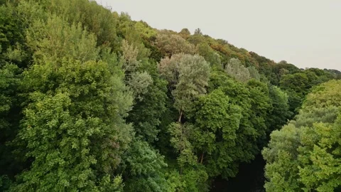 The camera flies over the river in a city park in Bernardinai Garden in Vilnius  Video stock 248860760