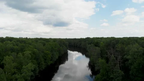 The camera flies over a river that flows in the middle of the forest.Aerial view Stock Footage 140027181