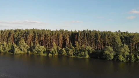 The camera flies over the river in front of the forest.4k. Stock Footage 91513046