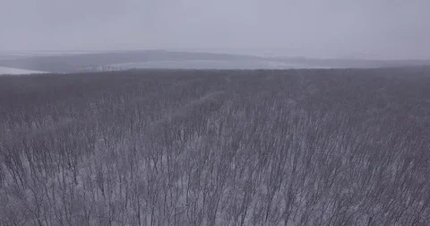 The camera flies over the snow-covered forest towards the large frozen lake, fog Stock Footage 83578202