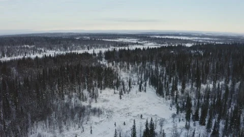 The camera flies over a snowy forest. Stock-Footage 148167144