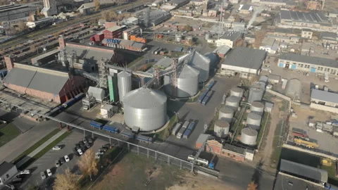 The camera flies parallel to the plant. Stock Footage 101000053