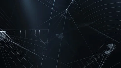 Camera flies a scoop of web networks in the attic Video stock 125906815