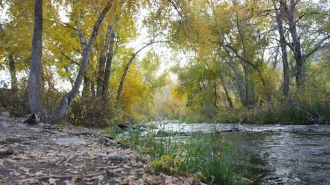 Camera flies from shore over the Provo River at sunset in autumn Видео 93559933