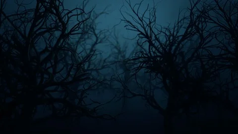 The camera flies through the mystical and frightening forest Stock Footage 125905368