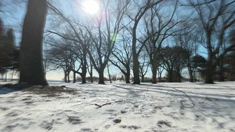 Camera flies through a winter park on a sunny day Stock-Footage 301339649