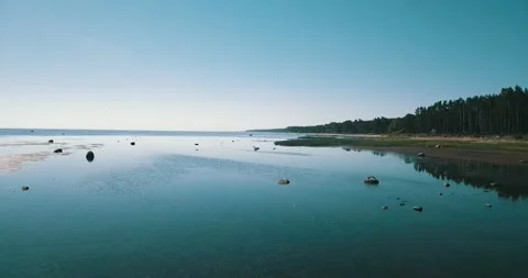 The camera flies towards the flock of birds resting in the shallow water Stock Footage 146702135