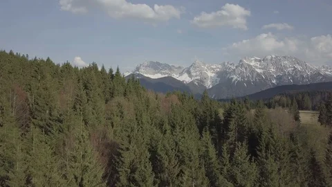 Camera flight above forest with the mountain landscape on the background Stock Footage 89758061