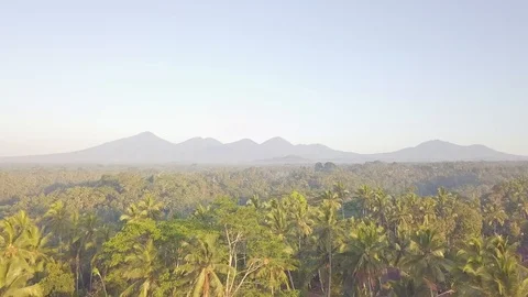 Camera flight above the magical jungle with the mountains on the background Stock Footage 100276704