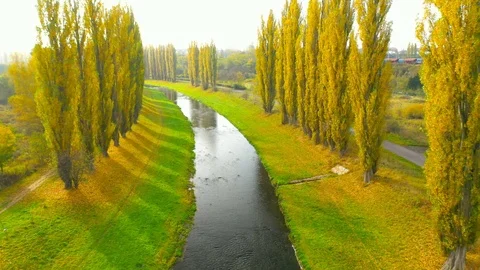 Camera flight over autumn scenery with river. Stock Footage 118793344