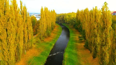 Camera flight over autumn scenery with river. Stock Footage 118793877