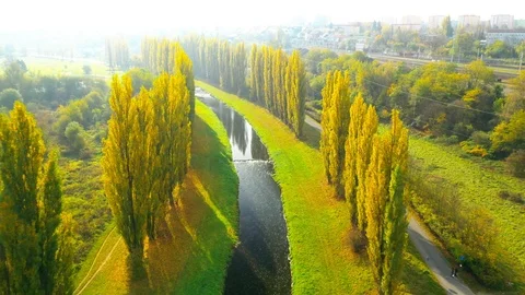Camera flight over autumn scenery with river. Stock Footage 118794657
