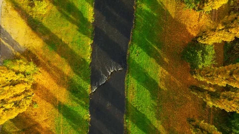 Camera flight over autumn scenery with river. Stock Footage 118794664
