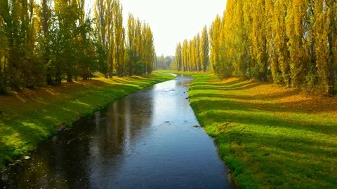 Camera flight over autumn scenery with river. Stock Footage 118796182