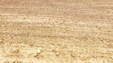 Camera flight over field. Stock Footage 55603464