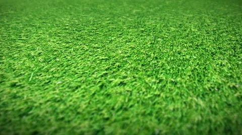 Camera flight over grass Stock Footage 45136262