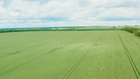 Camera flight over a green field against a cloudy sky Video stock 171324052