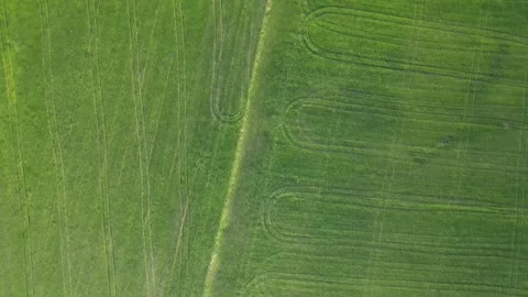 Camera flight over green fields. Stock Footage 236504735