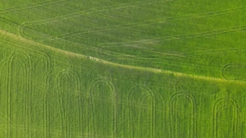 Camera flight over green fields. Stock-Footage 236505304