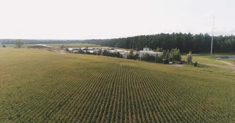 Camera flight over pig farm biogas plant. Renewable energy from biomass. Modern Stock Footage 126645401