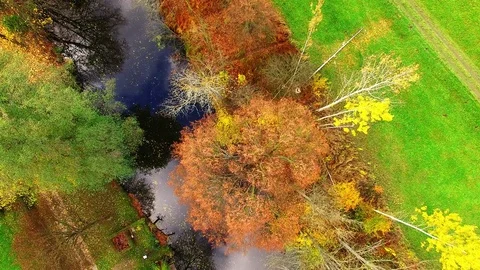 Camera flight over Radbuza river. Video stock 71932644