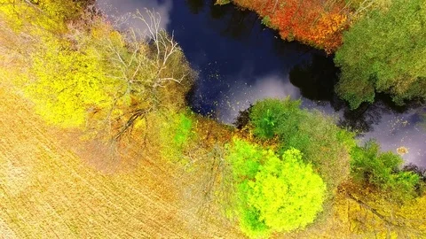 Camera flight over Radbuza river. Video stock 71932811
