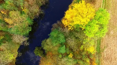 Camera flight over Radbuza river. Stock Footage 71933212
