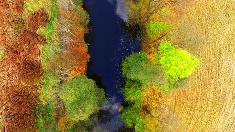 Camera flight over Radbuza river. 스톡 동영상 71933359