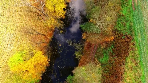 Camera flight over Radbuza river. Video stock 71934071